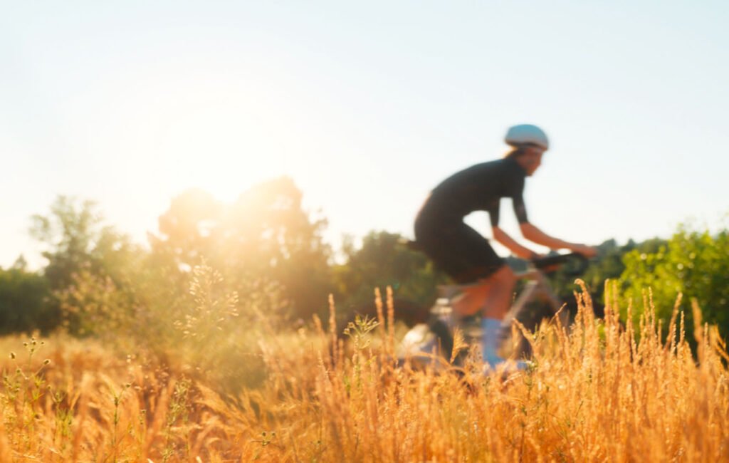 Chemin de terre serpentant à travers la nature dans le sud de la France